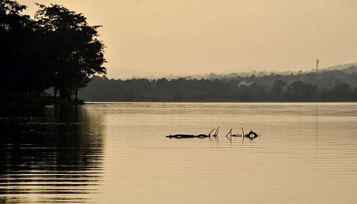 Beautiful view of Kabini river reservoir