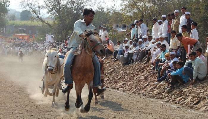 Nagaur Fest