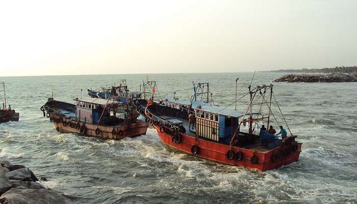 Explore the bustling fish markets of Neendakara Port now!