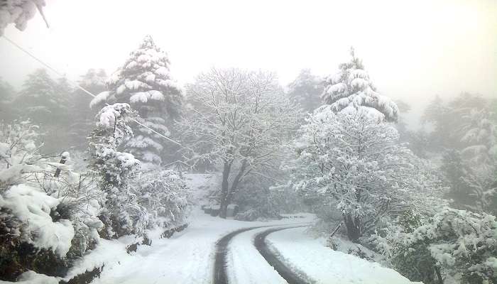 : Snowfall at Dhanaulti.