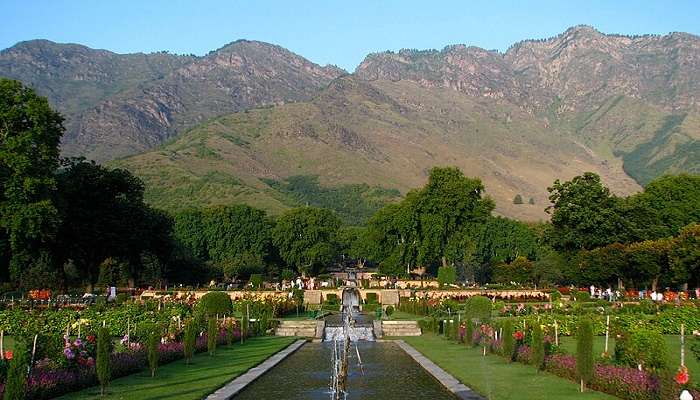 The Mountain backdrops looks stunning from the Nishat Bagh