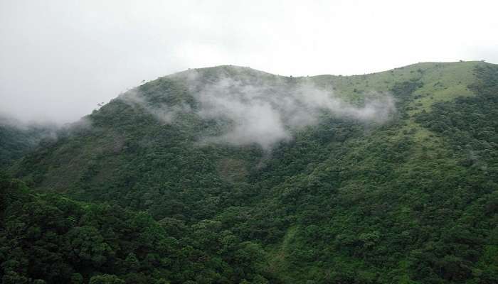 the misty view of the Ketti valley 