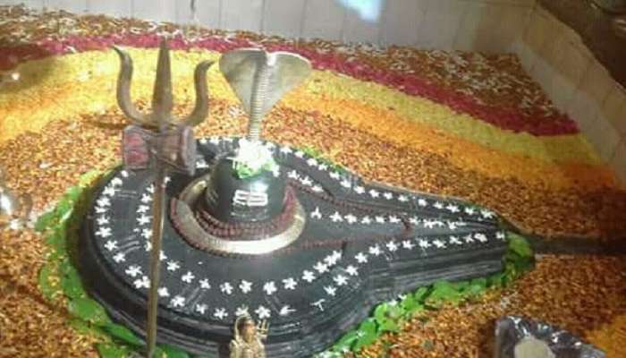 Maha Shivratri is the greatest festival celebrated at this temple. 