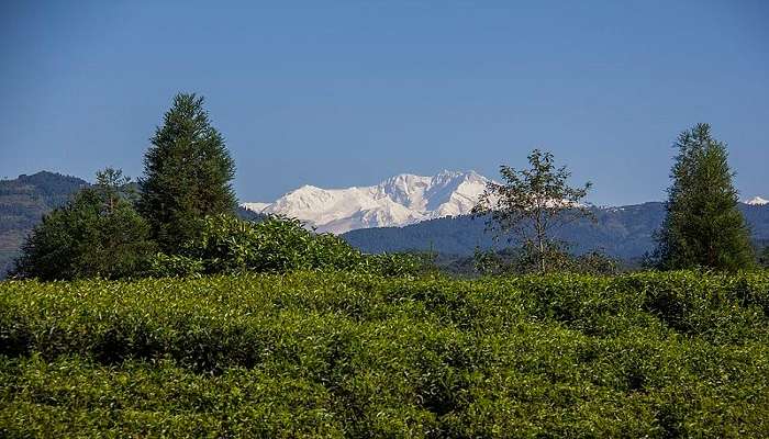 Beautiful mountain view from Pelling, located near Yangtey Sikkim.