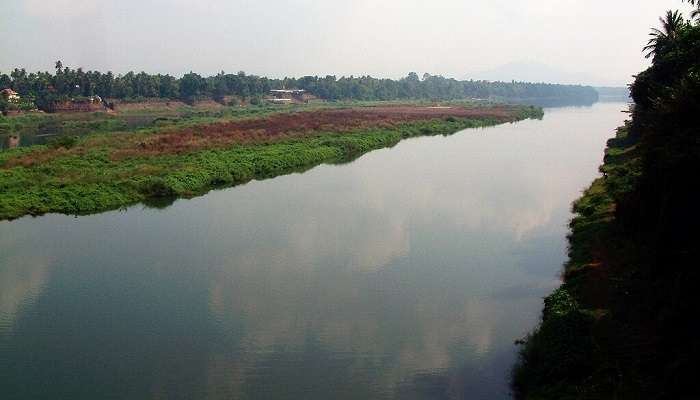 visit the beautiful Periyar River, a great choice among.