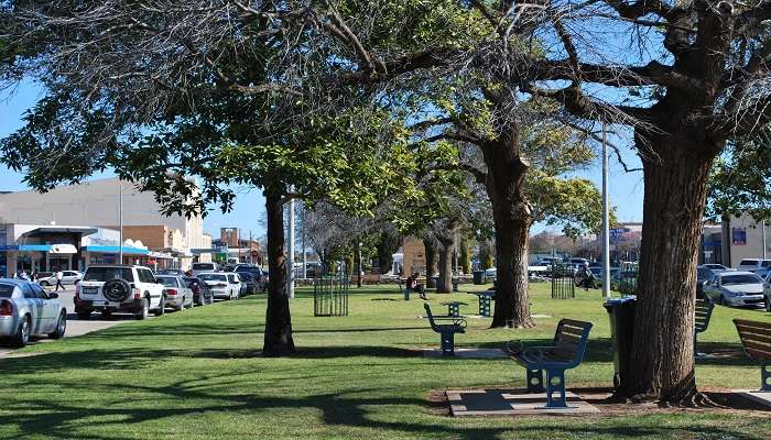 A view of the area around the park is the best thing to do in swan hill. 