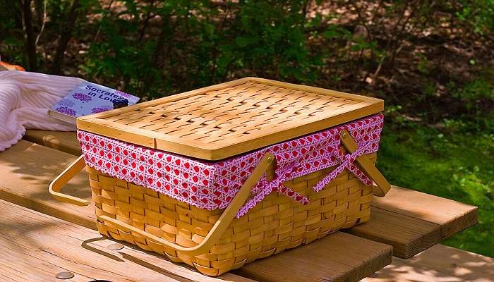 A picnic basket in a forest area near the Mohadi falls.