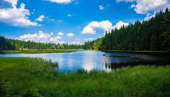 stunning view of Pillalamarri Lake