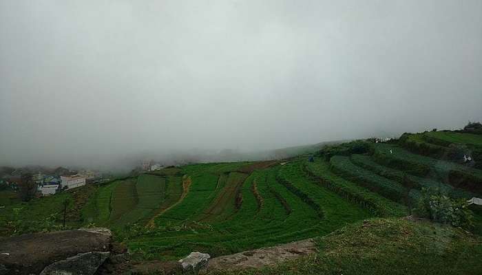 Poombarai village covered in mist