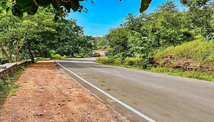 Road to the waterfall in Madhya Pradesh