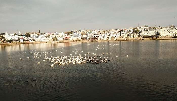 A mesmerising view of the Lake in Rajasthan