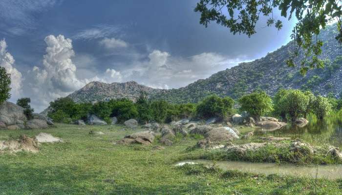 Eastern ghats of Tamil Nadu at Rangaswamy Peak and Pillar.