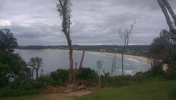 Mollymook Beach.