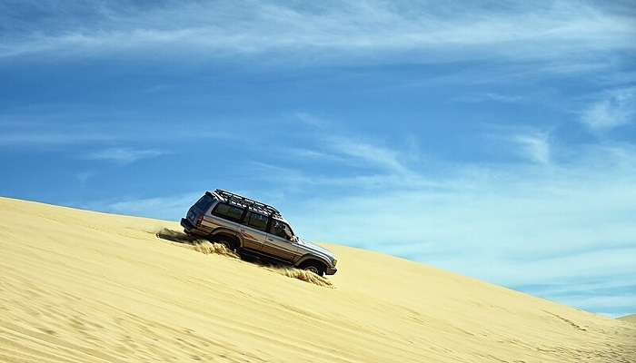 Exciting safari ride. 