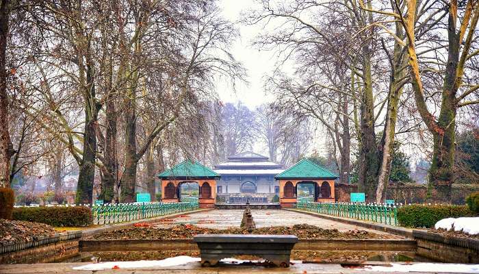 The Shalimar Bagh is a beautiful garden near Char Chinar Dal Lake.