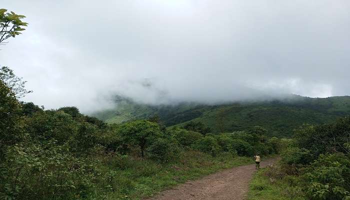  Clouds over the hills as seen from Tadiandamol Peak