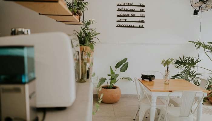 A barista from The Batch Espresso Bar has poured a latte. 