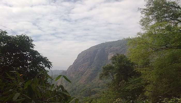 Choose the best time to visit meenmutty waterfalls in wayanad.