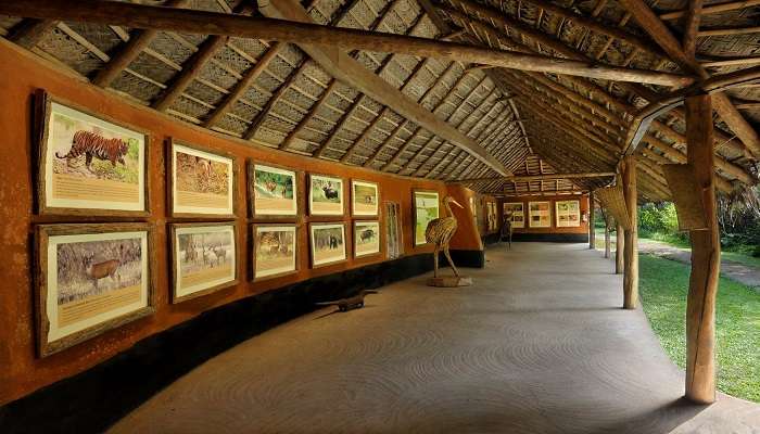 The Interpretation Centre near Nagarhole National Park.