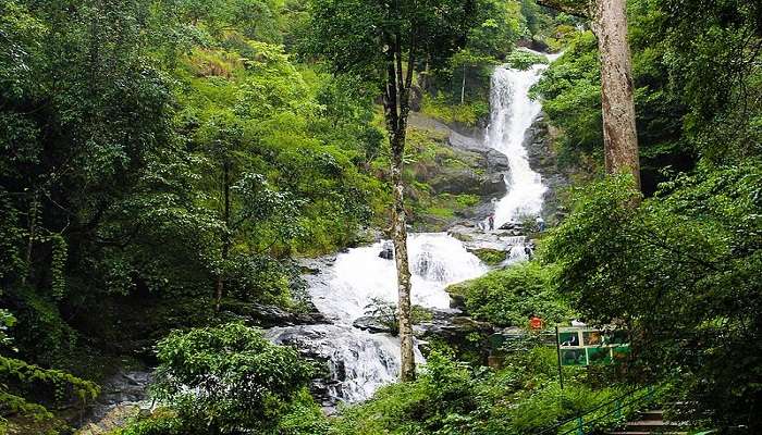 Exploring the scenic beauty of Iruppu Falls.