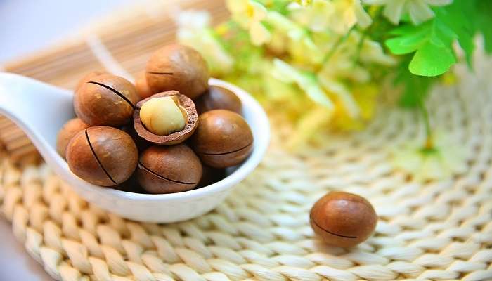 The picture of Macadamia nuts