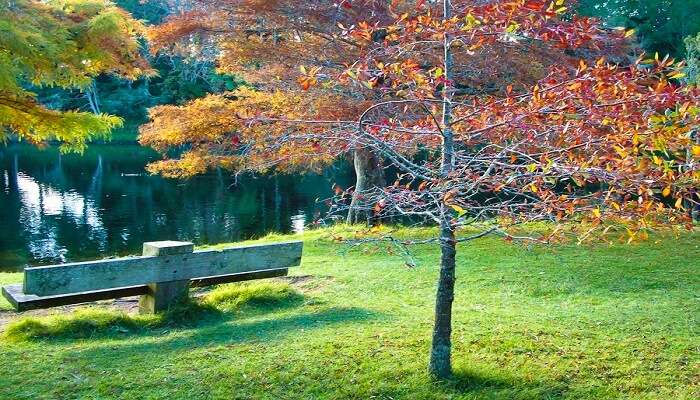 McLaren Falls Park in the fall season.