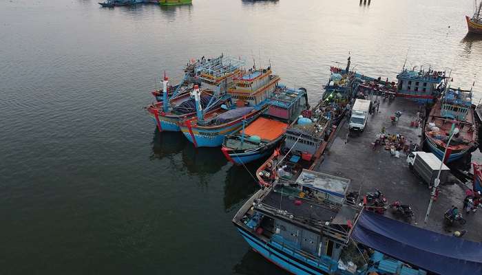 Visit Neendakara Port for an authentic fishing community experience!