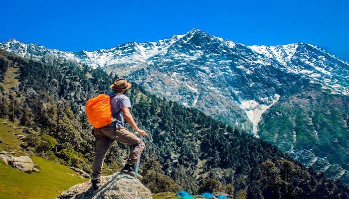 Trekking trails near Lidder River Pahalgam.