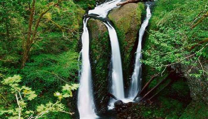 Bask in the serenity of the Triple Falls in Dimapur