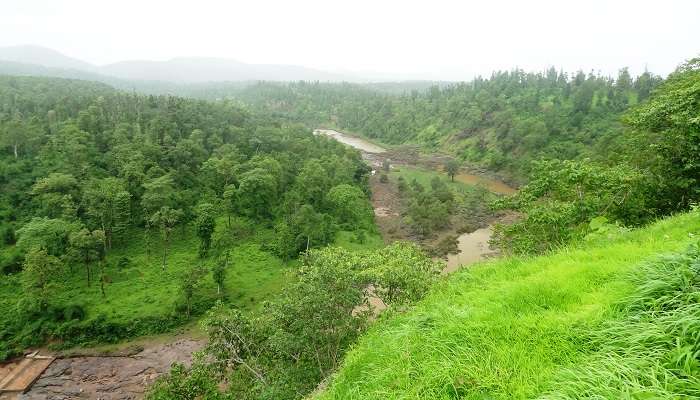  Amazing view of Vansda National Park 