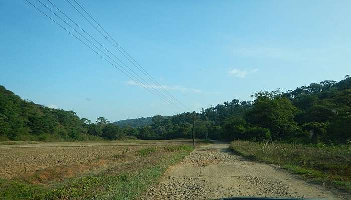 Lush green village of Veerabhoomi one of the serene locations in Coorg