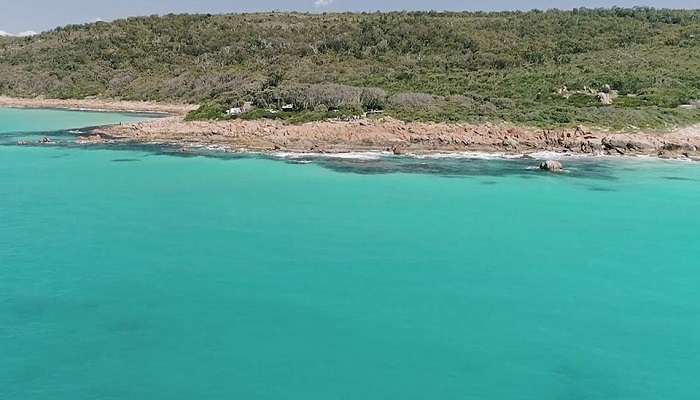 A visit to the Bunbury Dolphin Discovery Centre is an absolute must