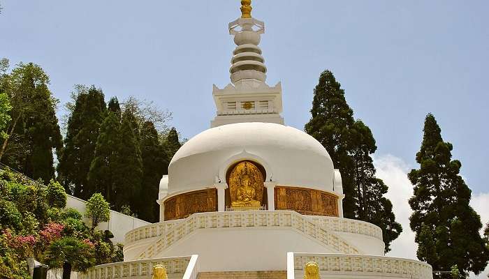 explore the Japanese Peace Pagoda in Darjeeling.