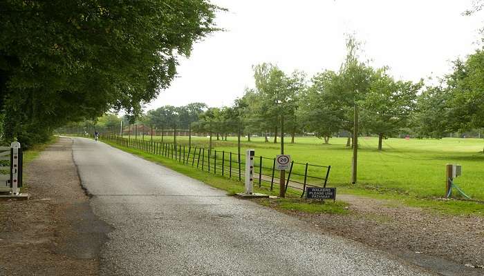 A view of the golfing club area 