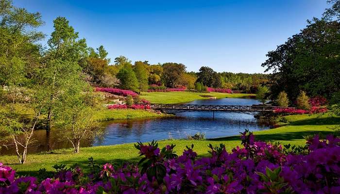 A beautiful pathway for walking 