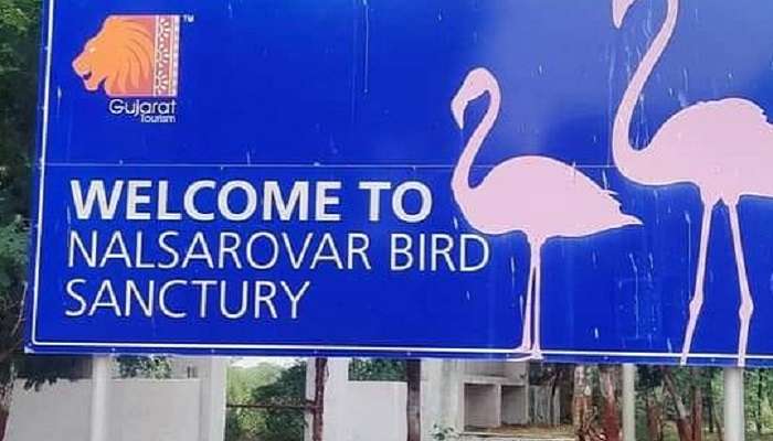 Visit the Interpretation Center at the Nal Sarovar Bird Sanctuary