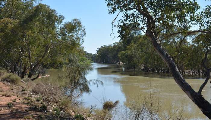 A beautiful view of the little Murray River is one of the top things to do in Swan hill. 