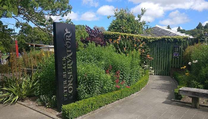 Peter Black Conservatory, Palmerston North, New Zealand