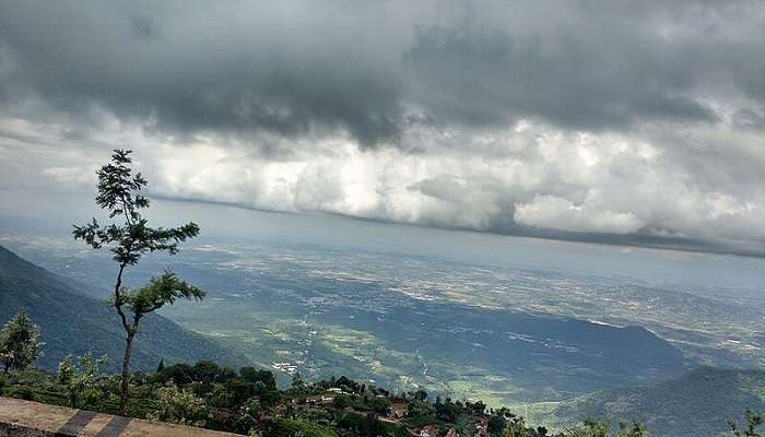 A picturesque backdrop of tea-estate