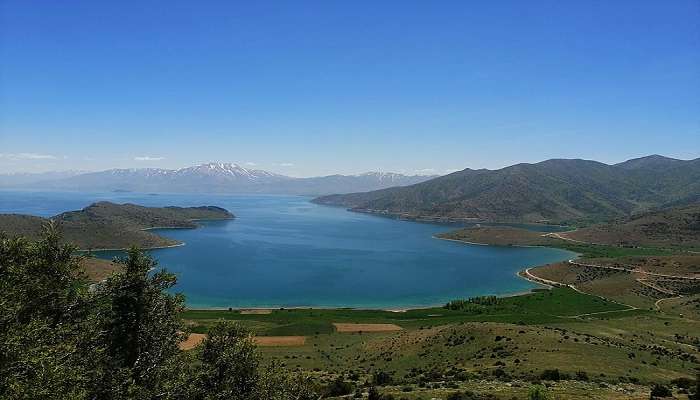 Van Altınsaç Bays