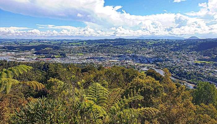 Stunning Lake of Town Basin, Whangārei