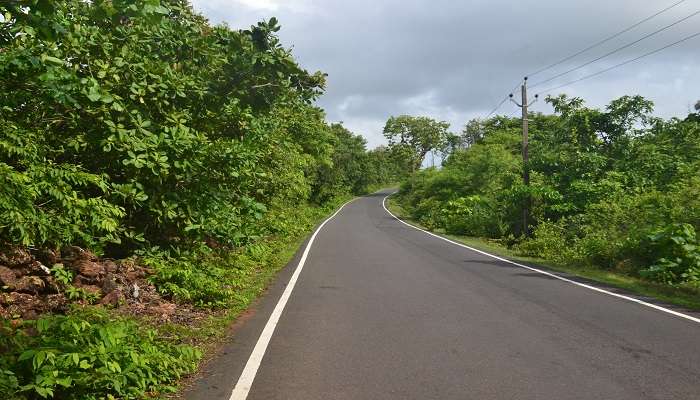 Scenic road of Goa 