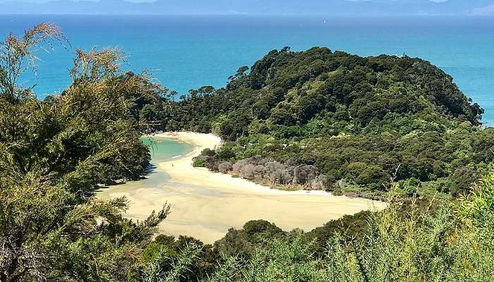 Abel Tasman National Park is a complete coastal paradise in New Zealand.