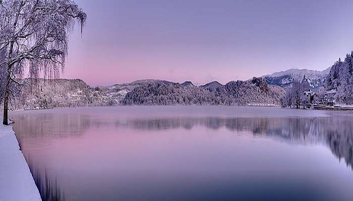 Stunning panoramic view of Lake Bled and its surroundings