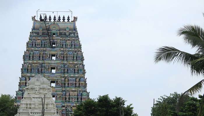 Plan a visit to Sowripalayam.