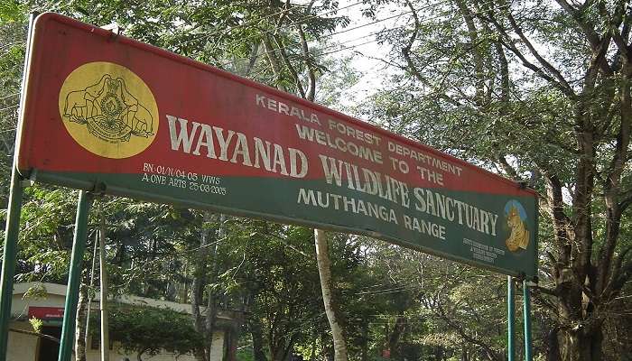 Entrance of Wayanad Wildlife Sanctuary