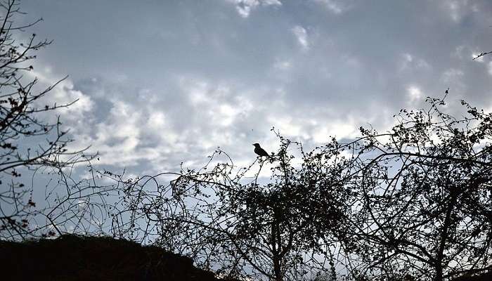 Wildlife spotting is a favourite activity in Rajat Prapat