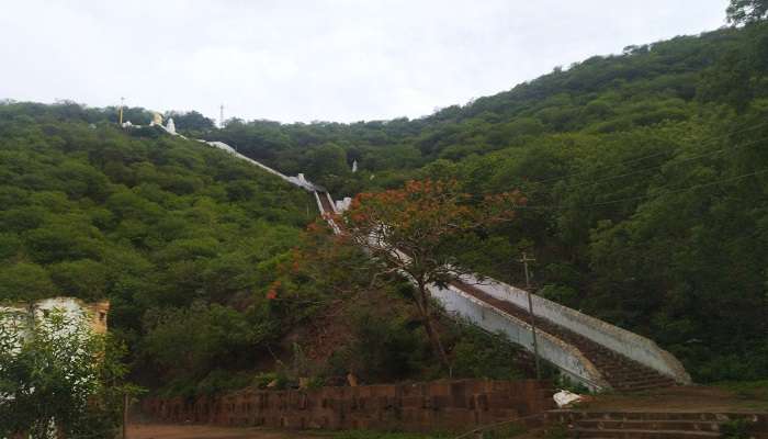 The mesmerizing Agiripali Hill 