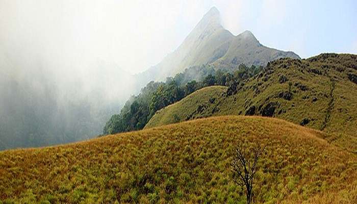 Luring view of Chembra Peak