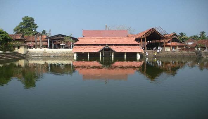 Enjoy the boat trip to Pathiramanal Island and see nature at its best place to visit in Kuttanad!